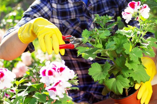 Front view of a gardener workspace in Seven Sisters, accessible layout illustration